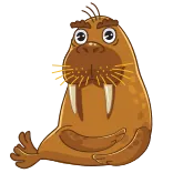 моржи и киты telegram stickers