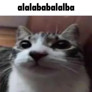 😐 alalabababalalba cat, meme, funny, pet, animal, text whatsapp sticker