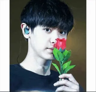 🌹 person, rose, flower, earphones, man telegram sticker