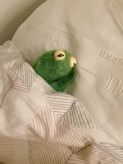 🌟 Kermit Kermit, Frosch, Muppet, Schlaf, Bett, süß, grün whatsapp sticker