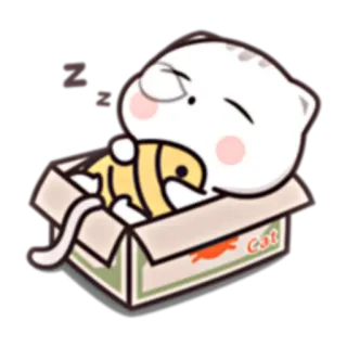 💤 Cat cat, sleeping, box, cute, animal, cartoon telegram sticker