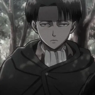 🍷 Levi Ackerman Attack on Titan anime, character, levi, attack on titan telegram sticker