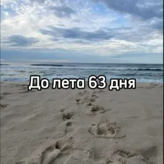 ☀️ До лета 63 дня playa, verano, cuenta atrás, vacaciones telegram sticker
