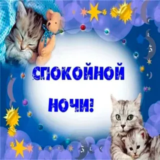 😗 СПОКОЙНОЙ НОЧИ! chúc ngủ ngon, mèo, gấu bông, ngủ, các vì sao, tiếng Nga telegram sticker
