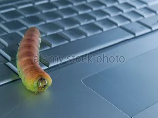 🐛 ulat, laptop, komputer, serangga, alam, keyboard telegram sticker