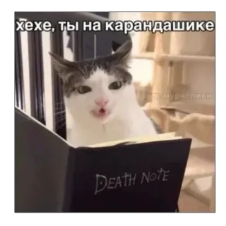 👎 Death Note хехе, ты на карандашике Katze, Death Note, Anime, Buch, Lustig telegram sticker