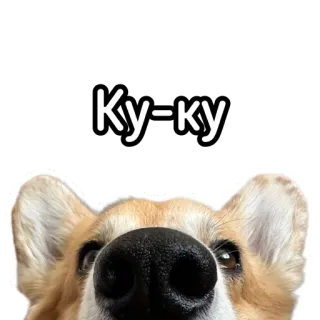 Маффин корги telegram stickers