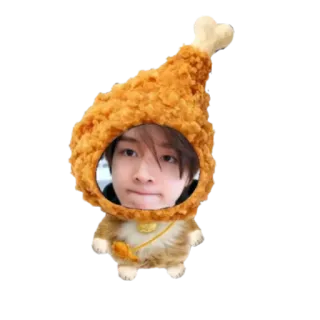 🧸 Jungwon ENHYPEN telegram sticker