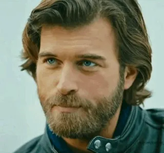 💱 homme, portrait, barbe, beau, masculin, mannequin, célébrité, yeux bleus telegram sticker