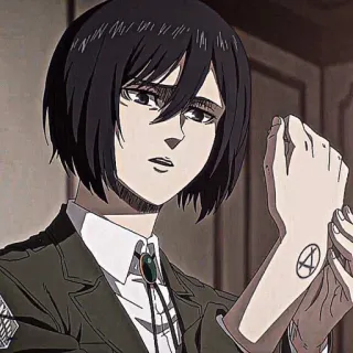 ❕ Mikasa Attack on Titan 动漫, 进击的巨人, 三笠·阿克曼, 军事, 暴力, aot telegram sticker