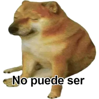 😞 doge No puede ser cane, triste, meme, animale, cheems telegram sticker