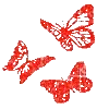 🦋