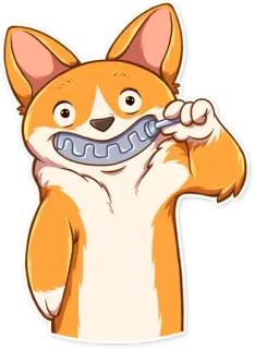 🤐 corgi, perro, cepillo de dientes, higiene dental, dientes, animal, dibujo animado, lindo whatsapp sticker