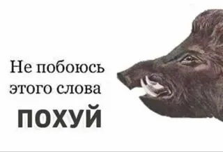 🌟 Не побоюсь этого слова
похуй Eber, Tier, Wütend, Beleidigend telegram sticker