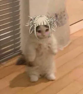 🩸 Himiko Toga My Hero Academia cat, anime, manga, cute, Himiko Toga, My Hero Academia, toga, kitty telegram sticker