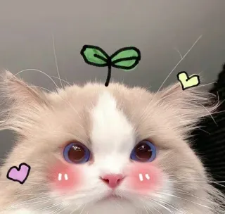 Больше стиков тут: @stikery4 telegram stickers