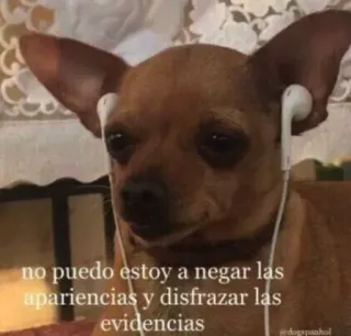 📻 no puedo estoy a negar las apariencias y disfrazar las evidencias dog, chihuahua, earphones, meme, pet, animal telegram sticker