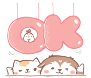 👌 ok ok, gatto, cane, pollo, carino, animale telegram sticker