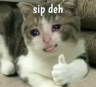 😿 sip deh кот, мем, палец вверх, плачущий, Sip Deh, смешной, интернет-мем whatsapp sticker