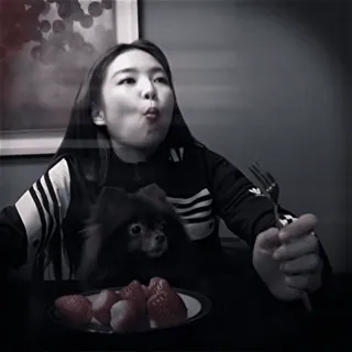 🫧 femme, chien, fraises, manger, portrait, nourriture whatsapp sticker
