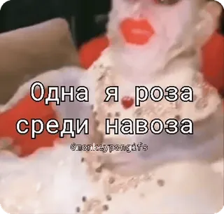 🌟 Одна я роза среди навоза rosa, stallatico, russo, testo, adesivo, divertente, umorismo whatsapp sticker