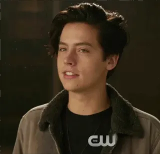 🖤 Jughead Jones Riverdale Jughead Jones, Riverdale, Cole Sprouse, drama adolescente, série de TV telegram sticker