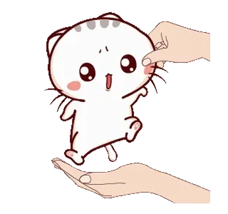 😣 gato, fofo, animal, kawaii, adesivo, desenho animado, feliz, mão whatsapp sticker