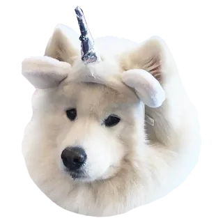 🦄 犬, ユニコーン, ペット, 動物, 可愛い, 白い犬, コスチューム telegram sticker