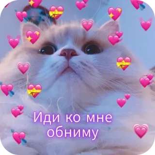 🐱 Иди ко мне обниму 猫, 可愛い, ハート, 愛, ハグ telegram sticker
