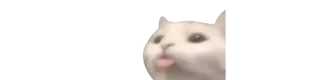 😋 Katze, Meme, lustig, Tier, Haustier, süß whatsapp sticker