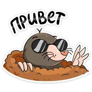 Рой :: @stickroom whatsapp stickers