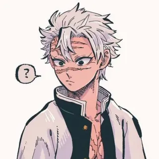 🤍 Sanemi Shinazugawa Demon Slayer 动漫, 鬼灭之刃, 不死川实弥, 漫画, 贴纸, 风柱 telegram sticker
