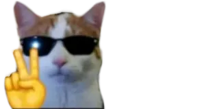 😎 cat, sunglasses, peace sign, cool, animal telegram sticker