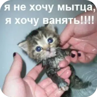 Больше стиков тут: @stikery4 telegram stickers