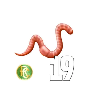 🐛 19 gusano, número 19, logo RC, animal, numérico, invertebrado telegram sticker
