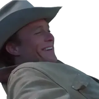 😁 hombre, vaquero, sombrero, retrato, persona, sonriendo telegram sticker