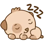 😴