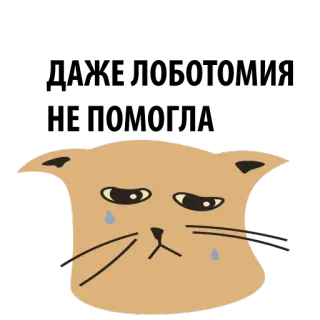 🤡 gato triste, gato chorando, gato desenho, lágrima, emoção, felino, adesivo telegram sticker