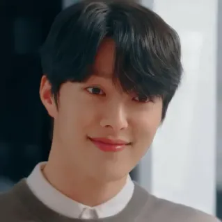 🦊 coreano, hombre, retrato, actor, sonrisa telegram sticker