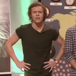 🥯 Harry Styles 名人, 歌手, 男人, 肖像, 哈利·斯泰尔斯 telegram sticker