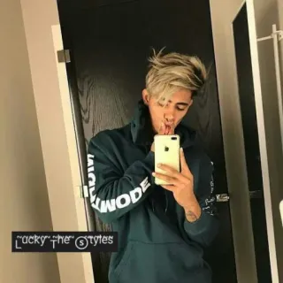 🤳 Lucky the Styles hombre, selfie, interior, persona, posando, estilo whatsapp sticker