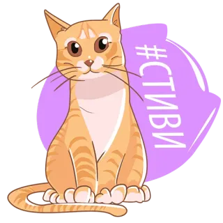 😸 #стиви кот, наклейка, оранжевый, котенок, животное telegram sticker