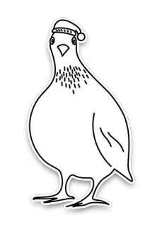 🎄 pájaro, animal, navidad, sombrero, invierno, celebración, contorno telegram sticker