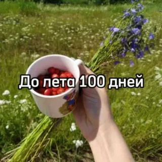 До лета осталось... @MoiStikiBot whatsapp stickers
