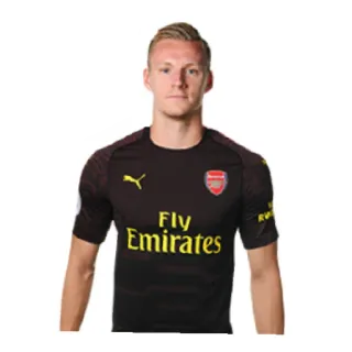🇩🇪 Fly Emirates soccer, football, arsenal, jersey, sport telegram sticker