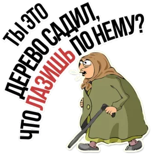 😡 Ты это дерево садил, почему? Что лазишь dessin animé, grand-mère, arbre, question, russe telegram sticker