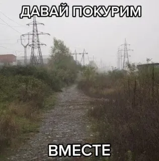 🚬 ДАВАЙ ПОКУРИМ
ВМЕСТЕ Rauchen, Russisch, Text, Stromleitungen, Straße, Bäume telegram sticker