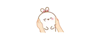 ✨ Hase, süß, Aufkleber, Hände, Tier telegram sticker
