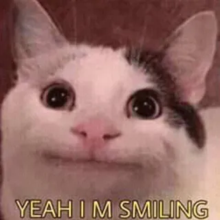 🙃 YEAH IM SMILING kot, mem, uśmiechnięty, zwierzę telegram sticker