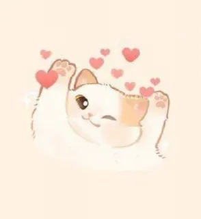🐱 chat, chaton, coeurs, mignon, clin d'oeil, animal, autocollant telegram sticker